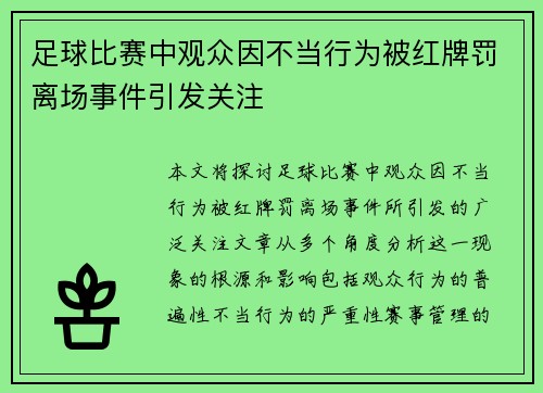 足球比赛中观众因不当行为被红牌罚离场事件引发关注