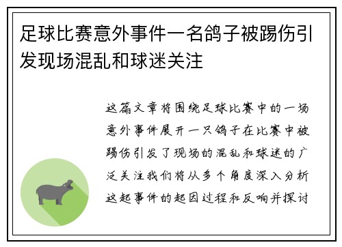 足球比赛意外事件一名鸽子被踢伤引发现场混乱和球迷关注