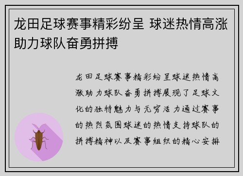 龙田足球赛事精彩纷呈 球迷热情高涨助力球队奋勇拼搏